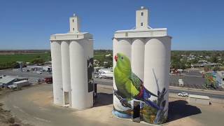 Waikerie Silo Art Aerials 4K [upl. by Rufina]