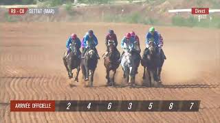 Live Hippodrome « SETTAT »  Courses du « 11052024 » [upl. by Magan330]