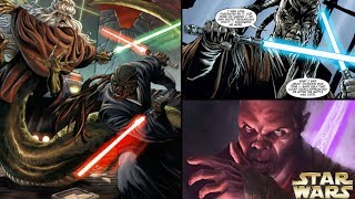 How Mace Windu Turned a Jedi Master To The DARK SIDE  Star Wars Explained [upl. by Droffats]