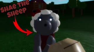 NEW SHAE THE SHEEP JUMPSCARE  Roblox Rash Raid Beta [upl. by Neumann]