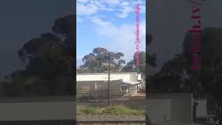 VLINE Southern Cross To Albury NSW 121124 victoria shorts shortvideo train travel views [upl. by Kampmeier]