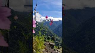 Sikkim skhanofficial360 skhan reels viralvideo travel [upl. by Rehpotsirc]