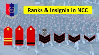 NCC Ranks and Insignia  Ranks in NCC  NCC Ranks in Hindi  SUO JUO CQMS SGT CPL LCPL CDT [upl. by Tabshey]