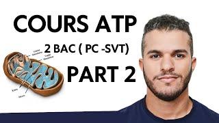 ATP 2 Bac  Libération de lénergie emmagasinée dans la matière organique Part 2 [upl. by Benjamin]