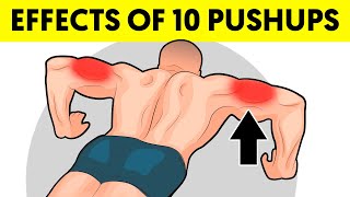 How 10 pushups every day will completely transform your body [upl. by Keese]