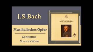 Musikalisches Opfer by Johann Sebastian Bach Concentus Musicus Wien [upl. by Peckham]