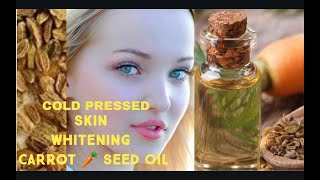 How to make Carrot Seed Oil  Best DIY Oil for skin lightening  SKINCARE [upl. by Chatav919]