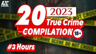 TRUE CRIME COMPILATION  20 Cold Cases amp Murder Mysteries Solved in 2023  3 Hours [upl. by Hemingway]