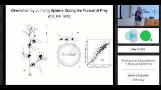 Invariance and equivariance in brains and machines [upl. by Neerol665]