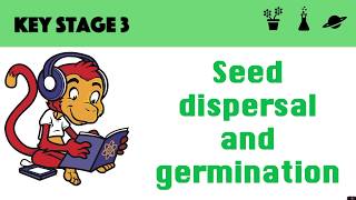 Germination and seed dispersal [upl. by Oag782]