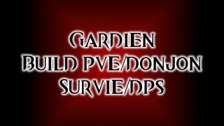 Guild Wars 2  Build Gardien SurvieDPS  PVEDonjons [upl. by Esihcoc]