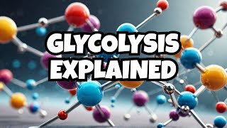 Glycolysis  Process of Glycolysis  Cellular Respiration [upl. by Valina]