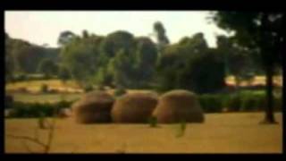 Ethiopian Music Video  AddisZefen [upl. by Aiuoqes]