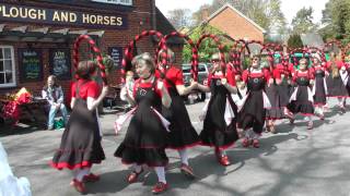 Mayflower Morris Dance Blackadder [upl. by Lebasi523]