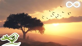 Beautiful Romantic Music • Relaxing Music Guitar Music Violin Music Cello Music Piano Music [upl. by Clywd]