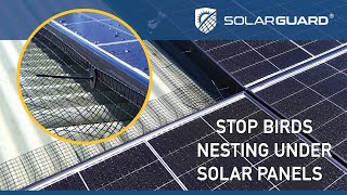 Solargaurd Solar Panel Protection  simple guide to deter birds and rodents away from solar panels [upl. by Oivlis]