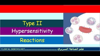 Lecture 5 Type II Hypersensitivity reactions [upl. by Oer]