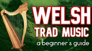 Welsh Trad Music  A Beginners Guide [upl. by Nare791]