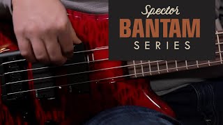 Spector Bantam Bass [upl. by Sirak]