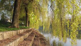 Ljubljanica River Slovenia  4K Virtual Travel [upl. by Cho750]