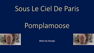 Pomplamoose Sous Le Ciel De Paris karaoke [upl. by Aleydis]