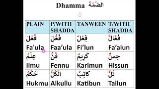 Arabic Diacritical Marks Tashkeel Harakat حركات تشكيل [upl. by Linnet94]