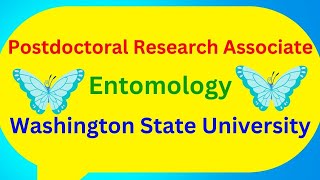 Postdoctoral Research Associate Entomology Washington State University [upl. by Nahttam714]