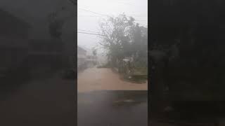 Puerto Rico Hurricane Maria Disaster  Utuado [upl. by Hiroko]