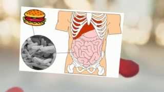 tratamiento para la escherichia coli [upl. by Yenmor673]