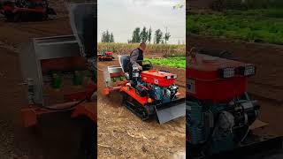 Rideon crawler tiller Agricultural machineryMultifunctionalCrawler rotary tillerOrchard greenho [upl. by Eilram]