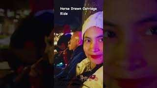 Westlake Tree Lighting Event  Tree Lighting Countdown  Horse Carriage ride  solana [upl. by Analat]