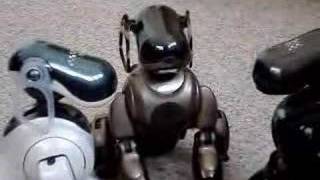 Aibo x Aibo Chat [upl. by Lesser]