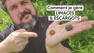 Comment jarrive à gérer LIMACES et ESCARGOTS au potager 🐌 [upl. by Adran23]