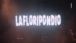 La Floripondio  Lollapalooza Chile  31032019 [upl. by Danzig216]