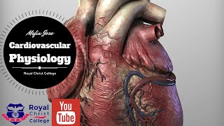 Cardiovascular Physiology Factors affecting Cardiac output Heart rate  Stroke volume Preload [upl. by Kimberli]