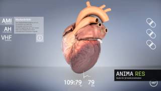 interactive 3d heart animation [upl. by Iruahs]