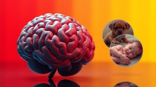 IS Your Brain HARDWIRED to Love Puppies MORE Than Babies [upl. by Nylahs]