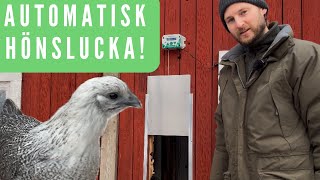 Installerar automatisk hönslucka i hönshuset [upl. by Drofliw]