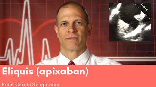 Eliquis apixaban Basics about this medicine its use effectiveness and side effects [upl. by Gib]