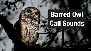 Barred Owl Call Sounds [upl. by Blunk220]