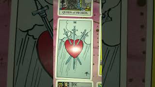 mellifluoustarot mfs tarot lyric411 idothis [upl. by Nirel]