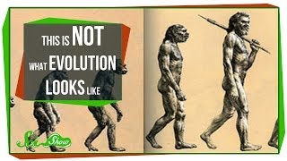 This is NOT What Evolution Looks Like [upl. by Anad]