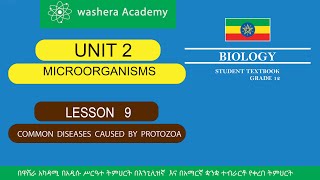 BIOLOGY GRADE 12 UNIT 2 LESSON 9 COMMON DISEASES CAUSED BY PROTOZOA [upl. by Tshombe]