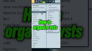 How To Organize VSTS amp PLUGINS In FL STUDIO 2024 flstudio [upl. by Oberg]