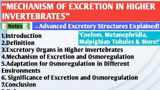 Excretion in Higher Invertebrates  Coelom  Metanephridia  Malpighian Tubules  Organ of Bojanus [upl. by Sadonia]