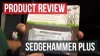 Nutsedge Killer Sedgehammer Plus Herbicide Control Nutsedge in your Lawn [upl. by Akim]