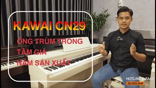 Review Piano KAWAI CN29  Trùm trong tầm giá  năm sản xuất [upl. by Angus]