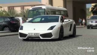 Lamborghini Gallardo LP5604 Driving By [upl. by Hayyikaz]