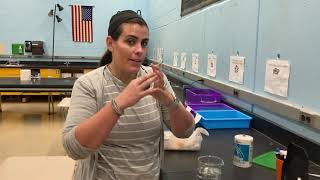 Egg Osmosis Lab Demonstration [upl. by Ailimaj]