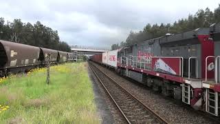 5194 at sandgate 10 43 with CM3312 PHC001 PHC002 on 11 11 24 [upl. by Airamasor258]